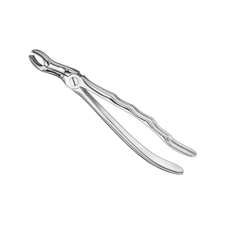 Extracting forceps, anat.
